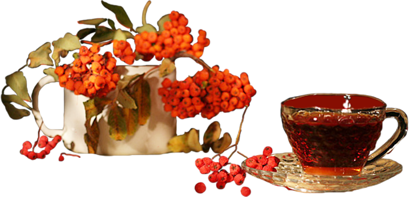 Рябина для фотошопа