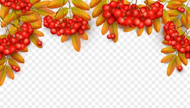 Рамки с рябиной осенние