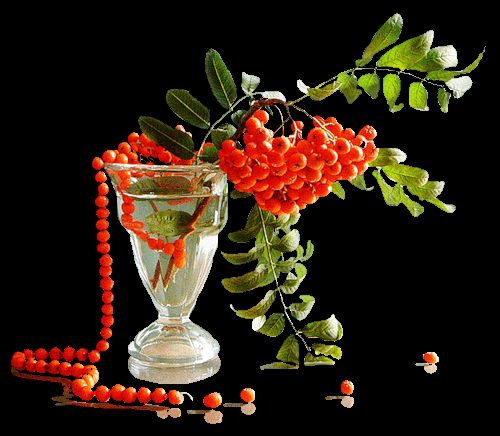 Красивые Рябиновые бусы