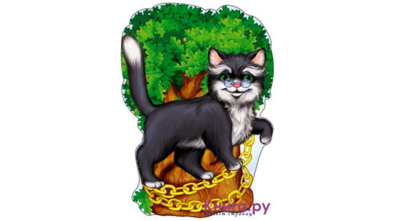 Кот ученый на прозрачном фоне