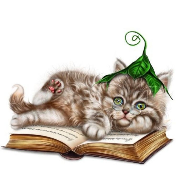 Кот ученый иллюстрации