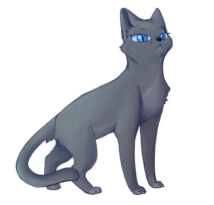 Коты Воители синяя звезда Bluestar