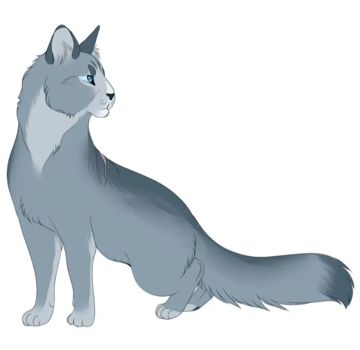 Коты Воители синяя звезда