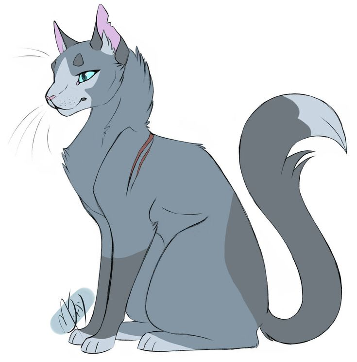 Коты Воители Невидимая звезда