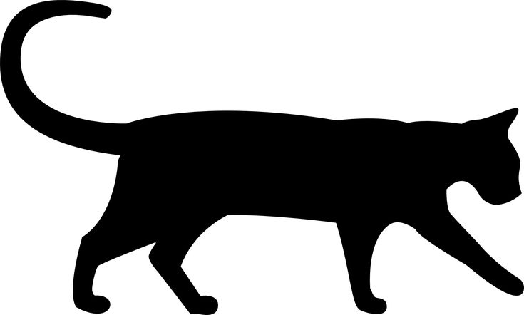 Силуэты котов