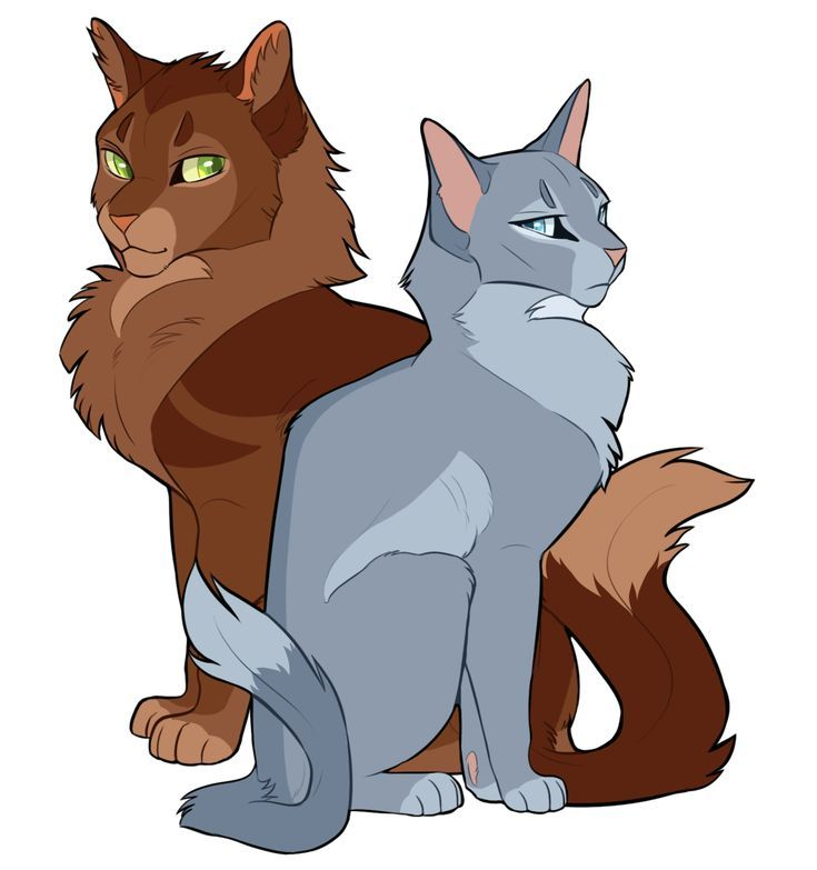 Коты ВОИ ели синяя звезда