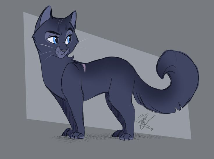 Коты Воители синяя звезда