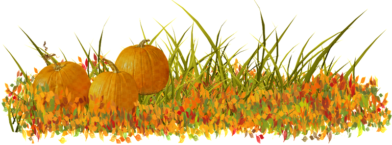 Осенняя травинка на прозрачном фоне