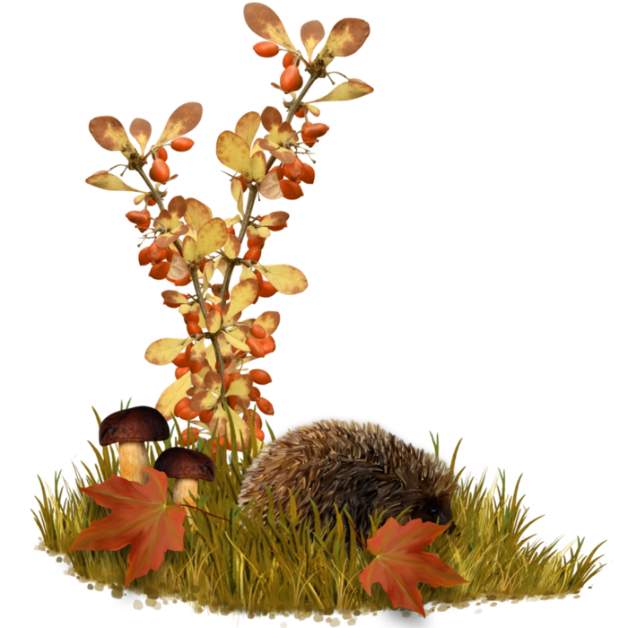 Осенний клипарт