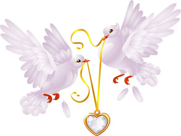 Клипарт свадьба на прозрачном фоне