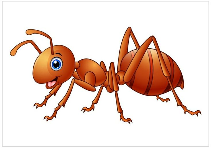 Муравей рисунок на прозрачном фоне
