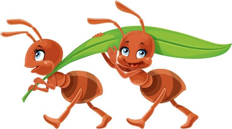 Муравей рисунок