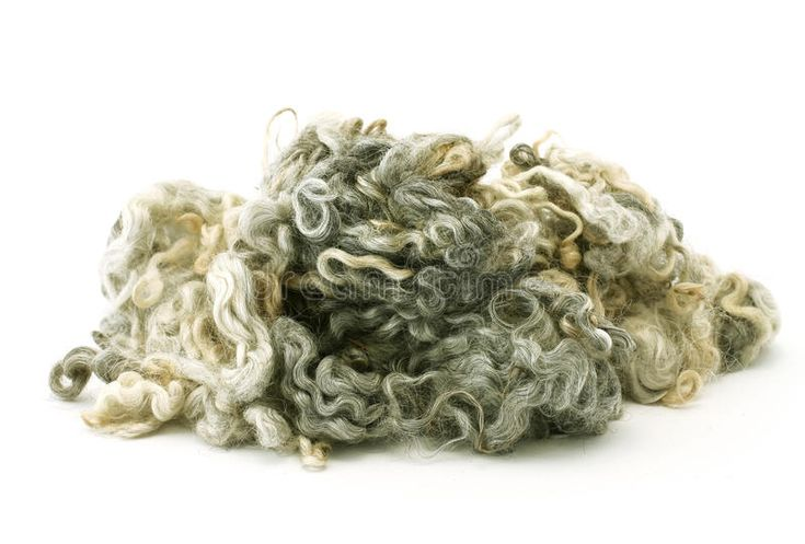 Шерсть барана на белом фоне