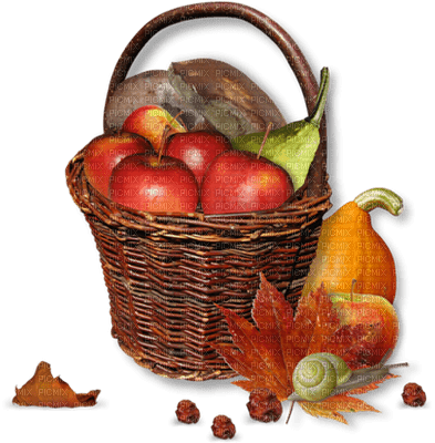 Корзинка с фруктами и овощами на прозрачном фоне