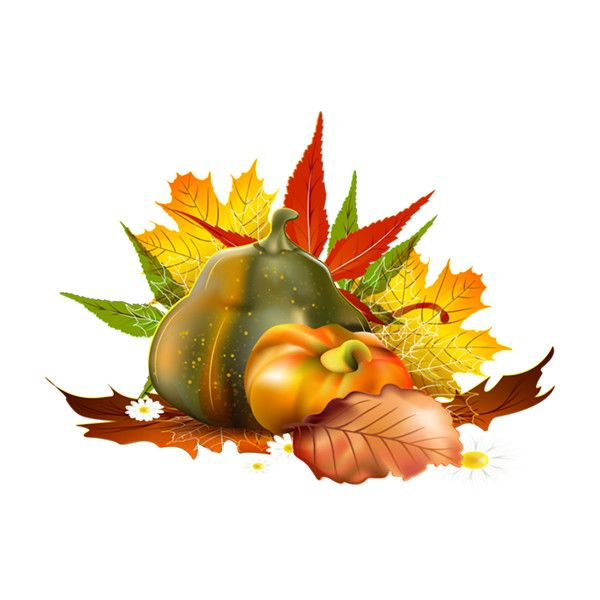 Атрибуты осени