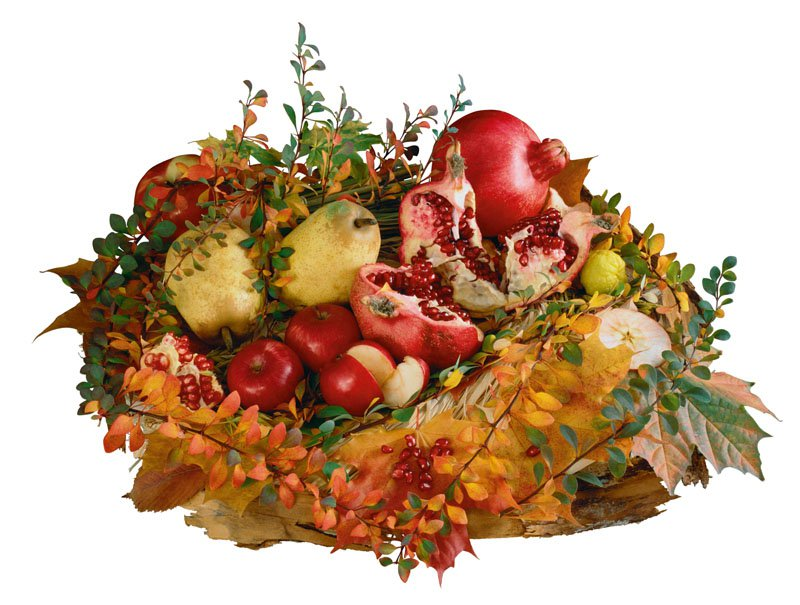 Осенние фрукты на прозрачном фоне