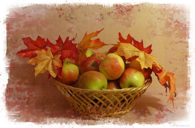 Осенний натюрморт яблоки и листья