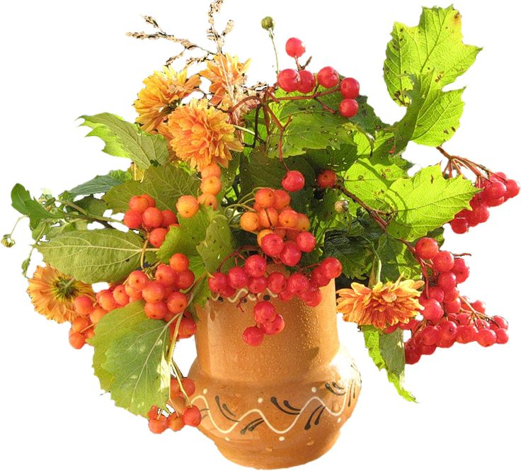 Композиции с рябиной