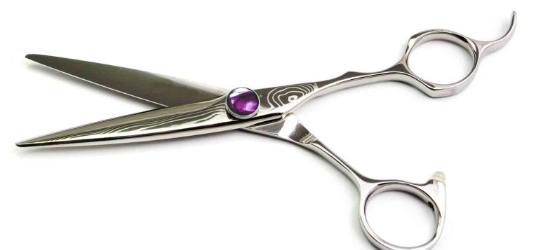 Ножницы Bianfens Scissors