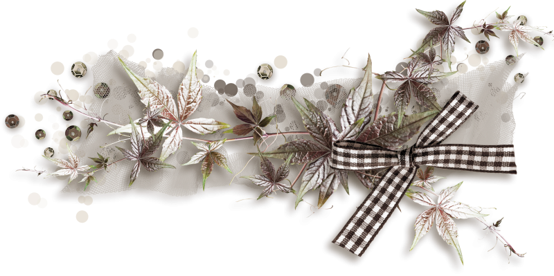 Декор для коллажей на прозрачном фоне