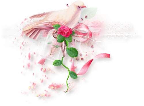 Нежные цветы на прозрачном фоне