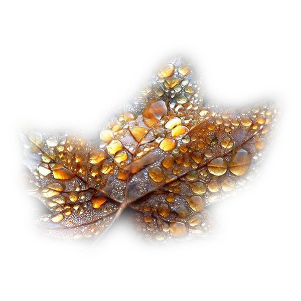 Янтарь россыпь