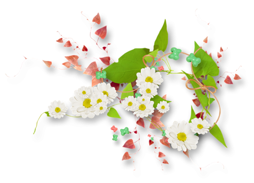 Цветочные элементы на прозрачном фоне