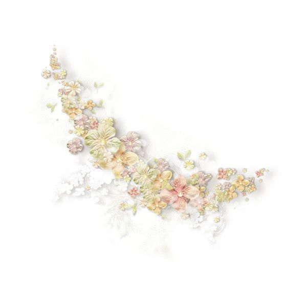 Цветочное украшения на прозрачном фоне