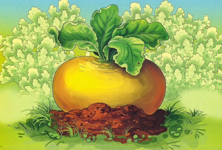 Репка иллюстрации