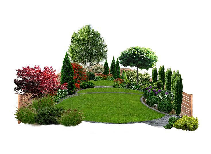 Миксбордер с туями