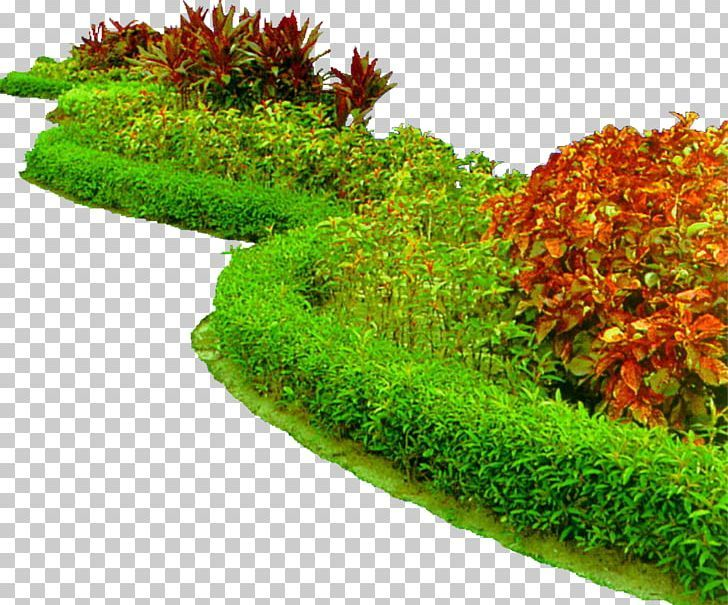 Клумба с цветами на прозрачном фоне