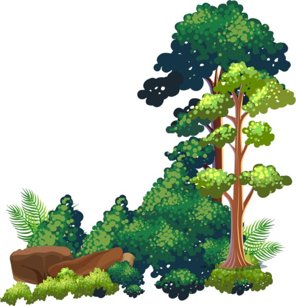 Дерево клипарт на прозрачном фоне