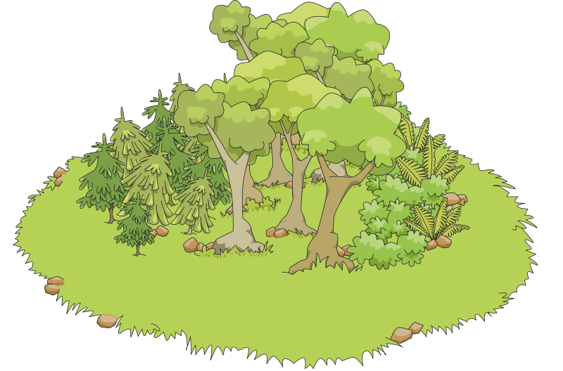 Лес на прозрачном фоне