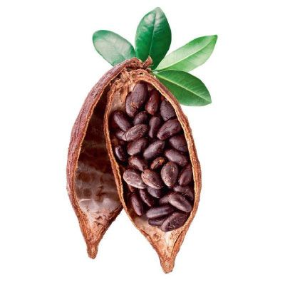 Какао Бобы на белом фоне