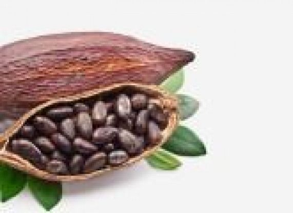 Какао Бобы без фона
