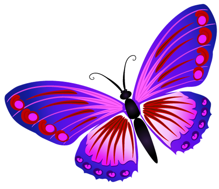 Разноцветные бабочки