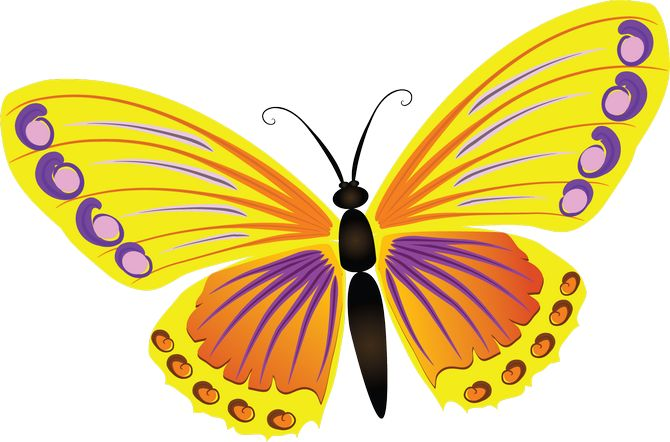 Бабочки мультяшные