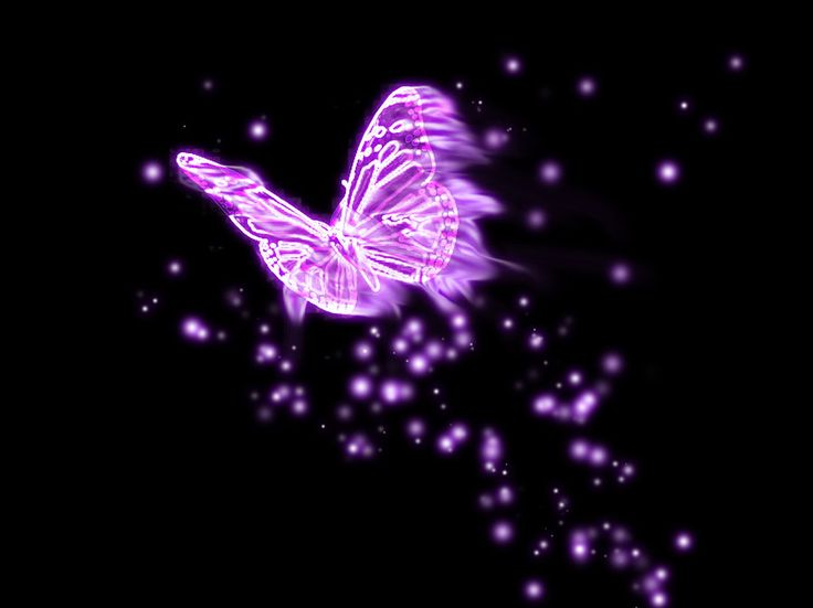 Волшебные бабочки на черном фоне