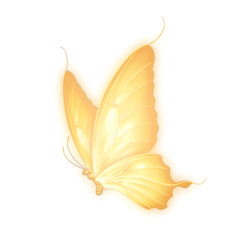Клипарт бабочки на прозрачном фоне