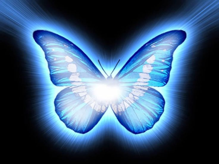 Голубая светящаяся бабочка