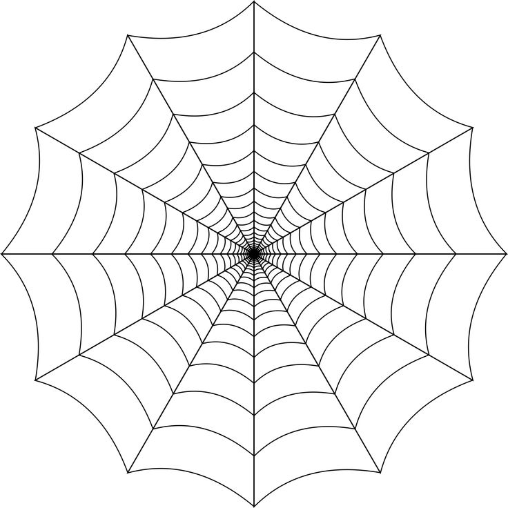 Векторная паутина