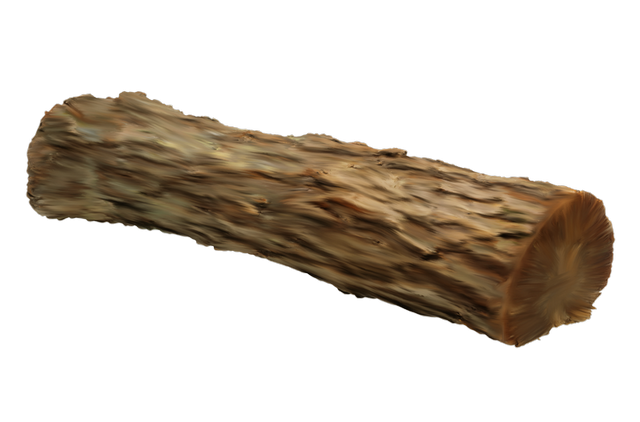 Бревно без фона