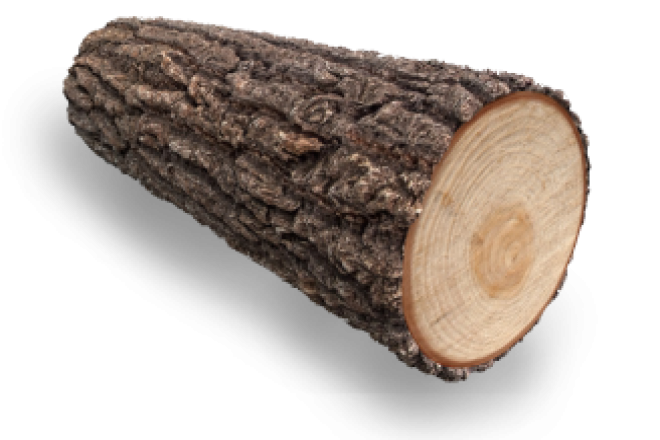 Кусок дерева