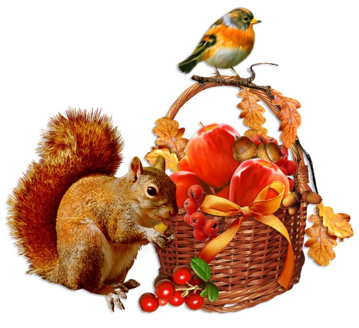 Осенний клипарт