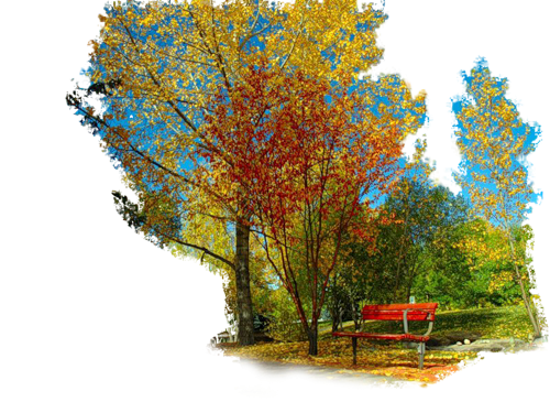 Осеннее дерево