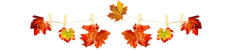 Разделитель из листьев