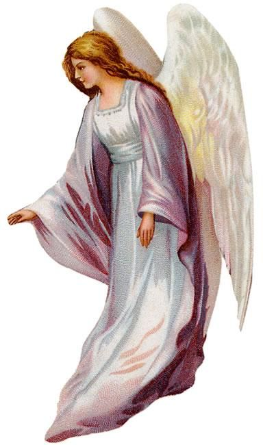 АНГИДАК на белом фоне