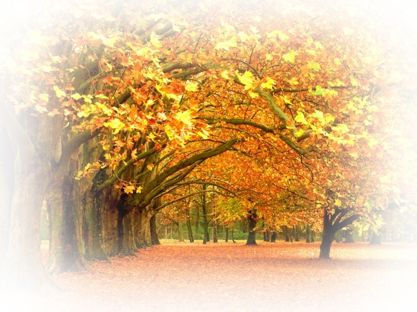 Осенний парк