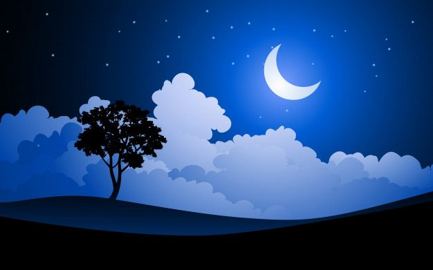 Ночь вектор