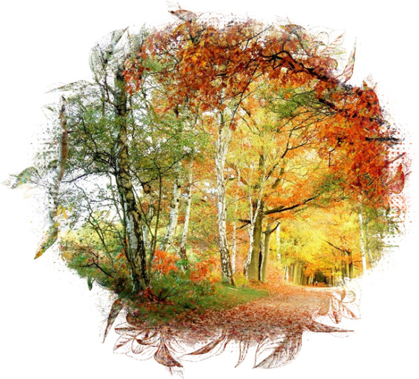 Пейзажи осени на прозрачном фоне